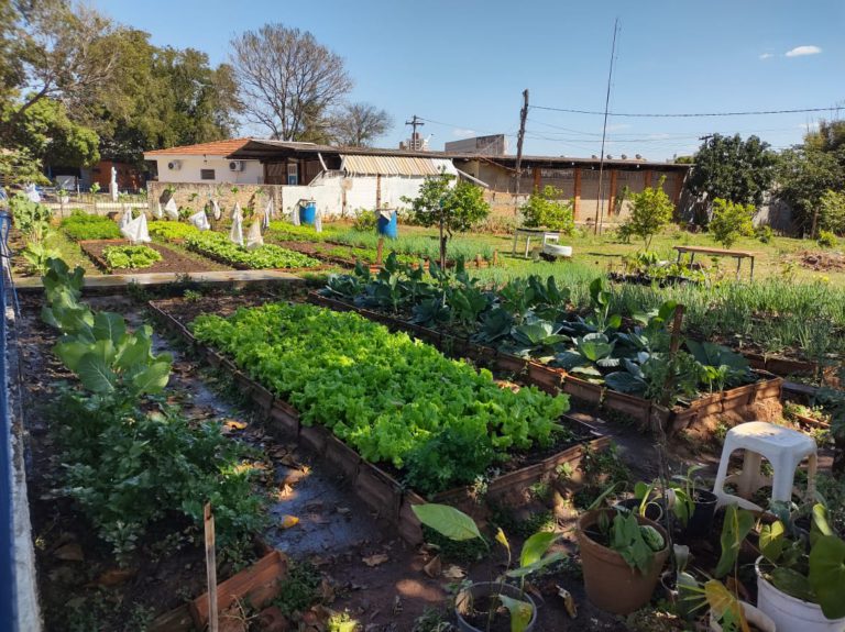 Nossa horta da Vila VIcentina Bauru